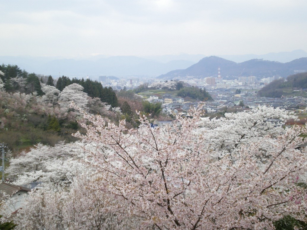 花見山から舘町会を望む