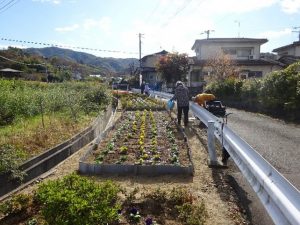 植付け後の花壇