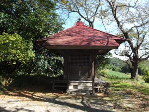 大日岩（阿武隈川対岸から見る大日岩）