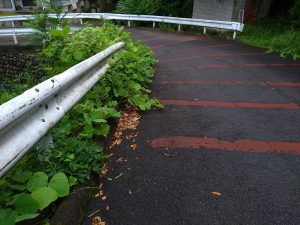 草刈り１